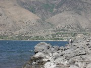 DSC01580-1.JPG